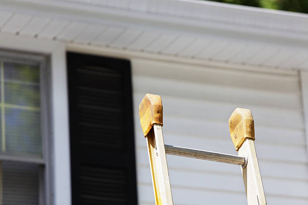 Best Steel Siding Installation  in USA